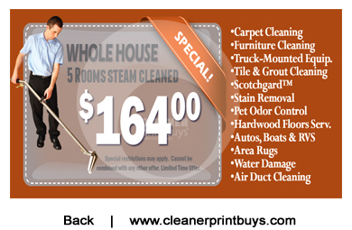 Carpet Cleaning Business Cards #C1024 Matte Back