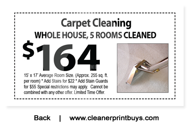 Carpet Cleaning Business Cards #C1075 UV Gloss Back