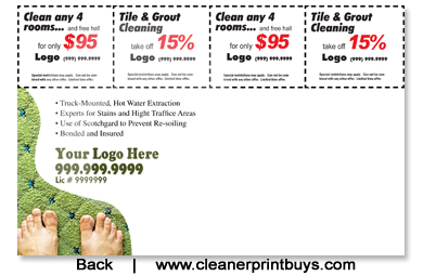 Carpet Cleaning EDDM Postcard (6.5 x 9) #C0002 100lb Cover Back