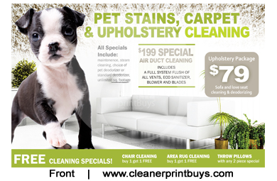 Carpet Cleaning EDDM Postcard (6.5 x 9) #C0003 16PT UV Gloss Front