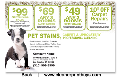 Carpet Cleaning EDDM Postcard (6.5 x 9) #C0003 100lb Cover Back