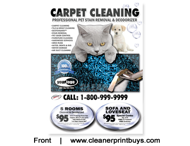 Carpet Cleaning EDDM Postcard (6.5 x 9) #C0007 100lb Cover Front