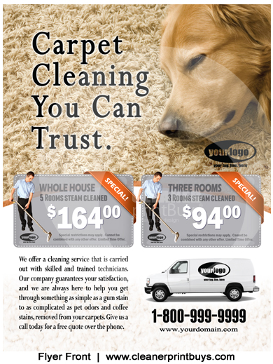 Carpet Cleaning EDDM (8.5 x 11) #C1024