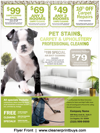 Carpet Cleaning Flyer (8.5 x 11) #C0003