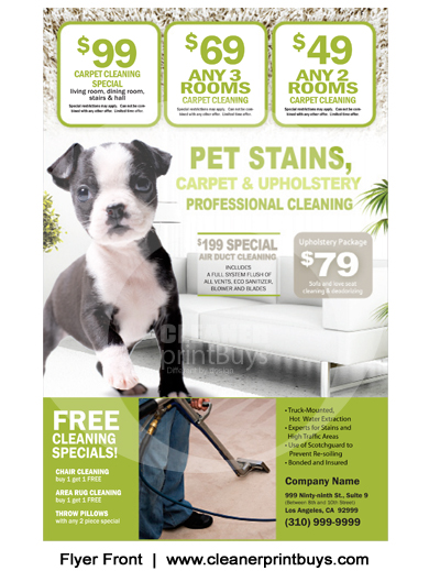 Carpet Cleaning Flyer (8.5 x 5.5) #C0003