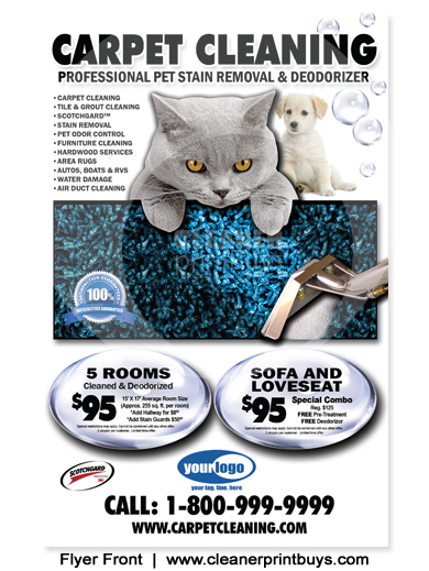 Carpet Cleaning Flyer (8.5 x 5.5) #C0007