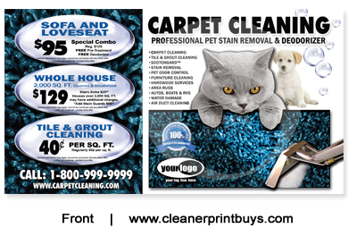 Carpet Cleaning Postcard (6 x 11) #C0007 Matte Front