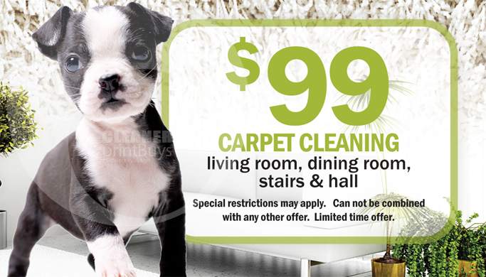 Carpet Cleaning Business Cards #C0003 (FRONT VIEW)