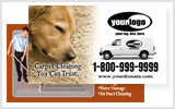 Carpet Cleaning Business Cards c1024
