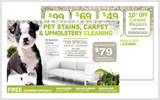 Carpet Cleaning Direct Mails c0001 6 x 11