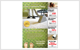 Carpet Cleaning EDDM Postcard Template # C0002 8.5 x 11