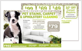 Carpet Cleaning EDDM Postcard Template # C0003 6.5 x 9