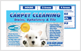 Carpet Cleaning EDDM Postcard Template # C0005 6.5 x 9