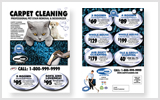 Carpet Cleaning EDDM Postcard Template # C0007 6.5 x 9