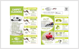 Carpet Cleaning EDDM Postcard Template # C1005 6.5 x 9