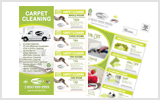 Carpet Cleaning EDDM Postcard Template # C1005 8.5 x 11