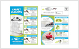 Carpet Cleaning EDDM Postcard Template # C1006 6.5 x 9