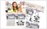 Carpet Cleaning EDDM Postcard Template # C1020 8.5 x 11