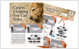 Carpet Cleaning EDDM Postcard Template # C1024 8.5 x 11