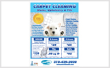 Carpet Cleaning Flyers c0005