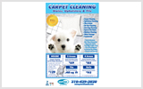 Carpet Cleaning Flyers C0005 8.5 x 5.5