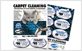 Carpet Cleaning Flyers c0007