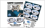 Carpet Cleaning Flyers C0007 8.5 x 5.5