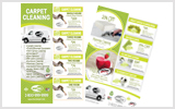 Carpet Cleaning Flyers C1005 8.5 x 5.5