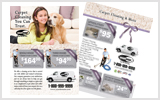 Carpet Cleaning Flyers c1020