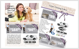 Carpet Cleaning Flyers c1020