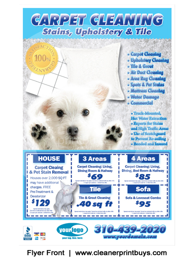 Carpet Cleaning Flyer (8.5 x 5.5) #C0005