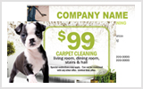 Carpet Cleaner Business Cards c0003
