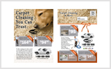 Carpet Cleaning EDDM Postcard Template # C1024 6.5 x 9