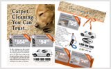 Carpet Cleaning Flyers C1024 8.5 x 11
